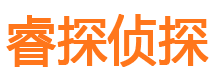 阳春侦探公司